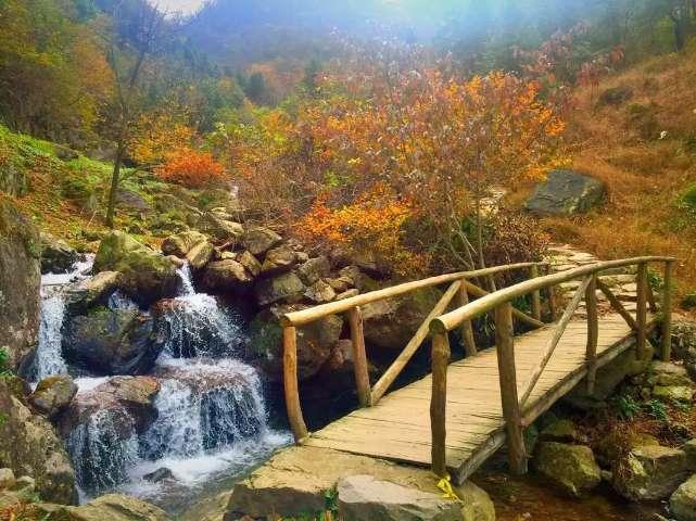 逃离违建房屋